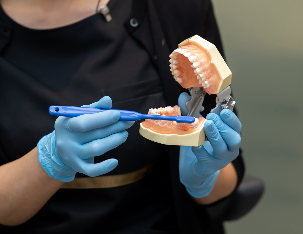 歯科模型を用いてブラッシング方法を説明する様子