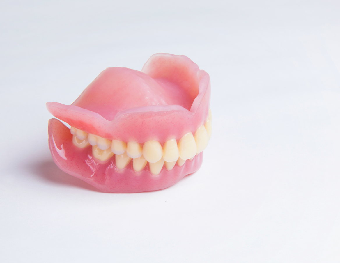 入れ歯の模型